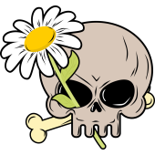 Autocollant Fleur Marguerite Skull