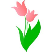 Autocollant Fleur Tulipe