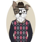 Autocollant Bouledogue Fashion