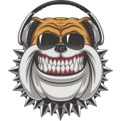 Autocollant  Chien Casque