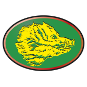 sanglier