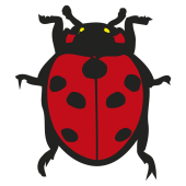 coccinelle