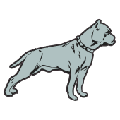 chien