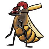 abeille