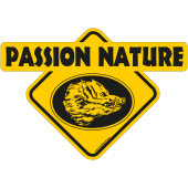Passion nature sanglier