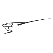stickers peugeot Rc Cup
