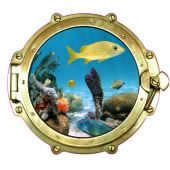 Sticker Trompe Oeil Hublot 9