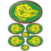 sanglier