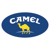 camel