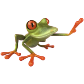 Autocollants grenouilles