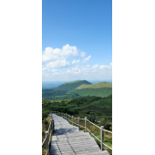 Escaliers En Trompe il