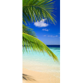 Ile Paradisiaque