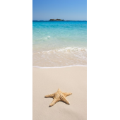 Etoile De Mer