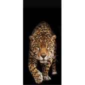 Leopard 2