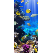 Ocean