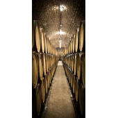 Cave Tonneaux