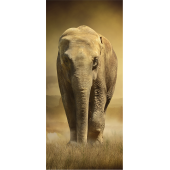 Elephant 3