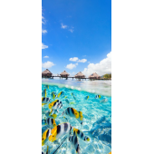 Poissons
