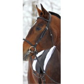Cheval 1