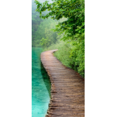 Chemin En Foret 2