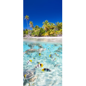 Ocean Poissons