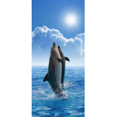 Dauphins