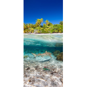 Mer Requin