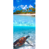 Tortue De Mer 1