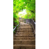 Escaliers En Trompe il 5