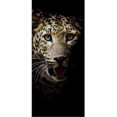 Leopard 3