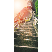 Escaliers En Trompe il 7