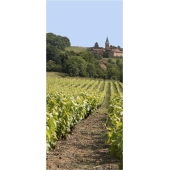 Vigne Village