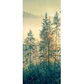 Foret