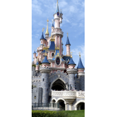 Enfants Château Disneyland