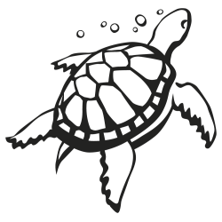 stickers tortue