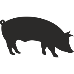 Sticker Cochon