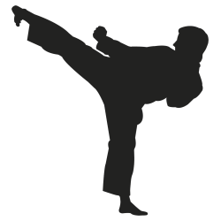 Sticker sport combat