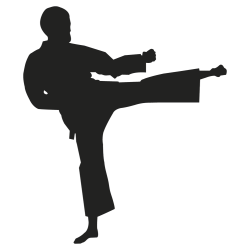 Sticker sport combat