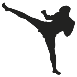 Sticker sport combat