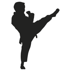 Sticker sport combat