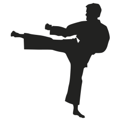 Sticker sport combat