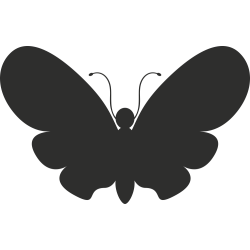 Sticker Papillon 3