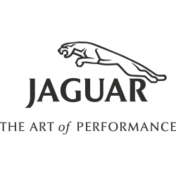 Sticker Jaguar Art Of Performance