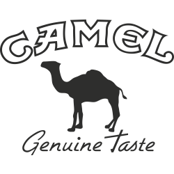 Sticker Camel