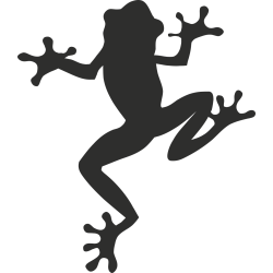 Sticker Grenouille Haut 2