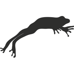 Sticker Grenouille Saut