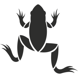 Sticker Grenouille Haut 3