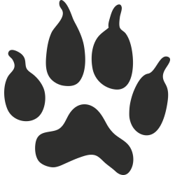 Sticker Patte Animal 2