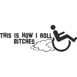 Sticker Handicapé This Is How