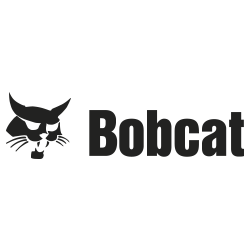 bobcat